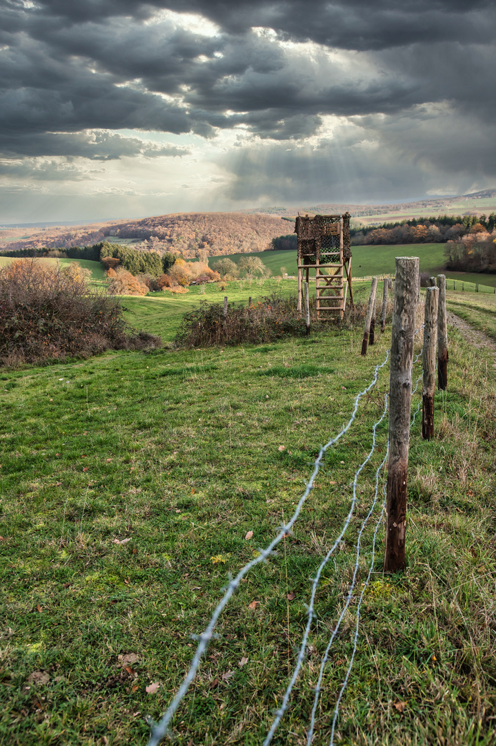 Wandern um Finkenbach-Gersweiler