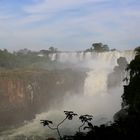 Wandern um Iguazu (I)