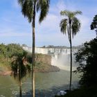 Wandern um Iguazu (II)