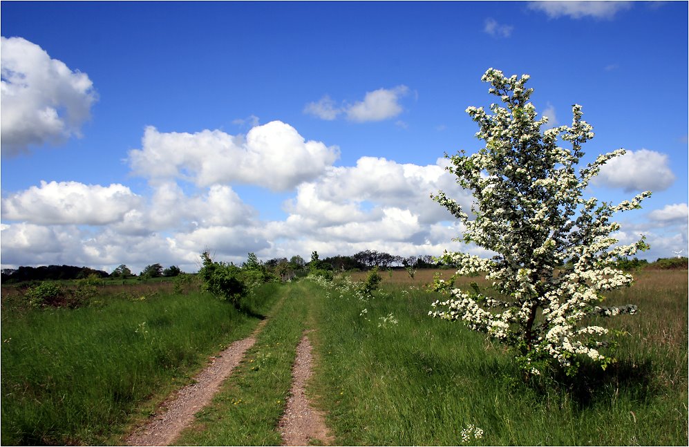 Wandern unter Wolken...