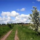 Wandern unter Wolken...