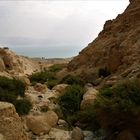 Wandern zum Wasserfall mit einem Hauch von Blick aufs Tote Meer