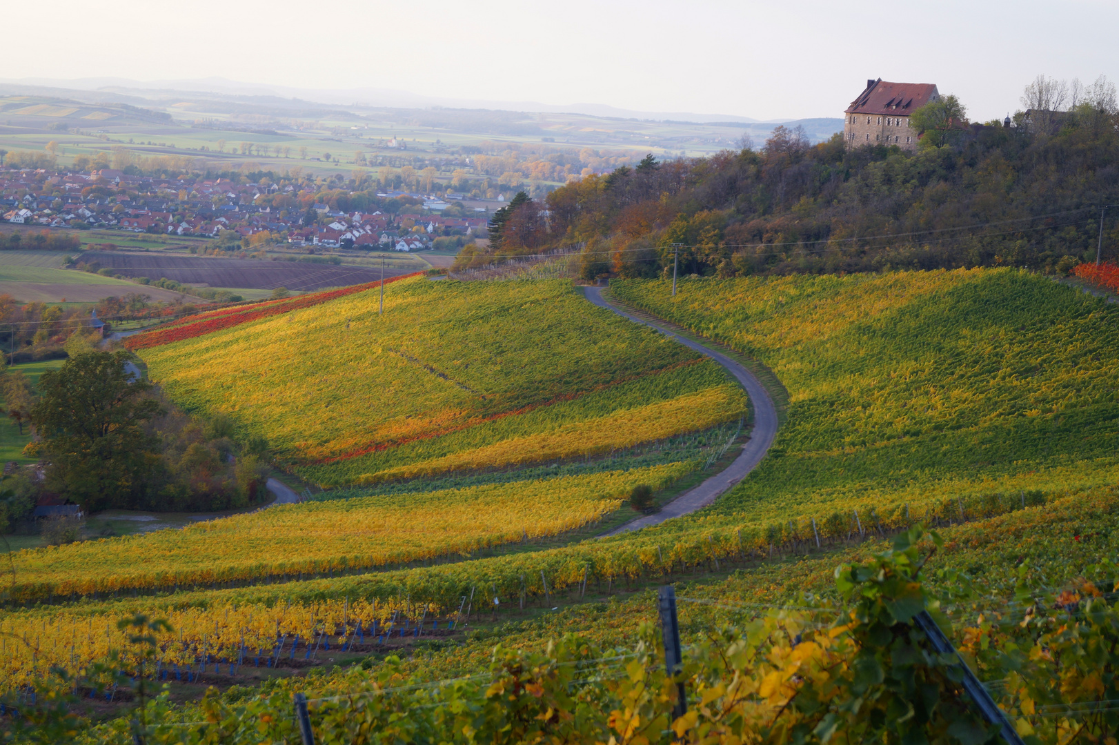 Wandern zum Wein 2