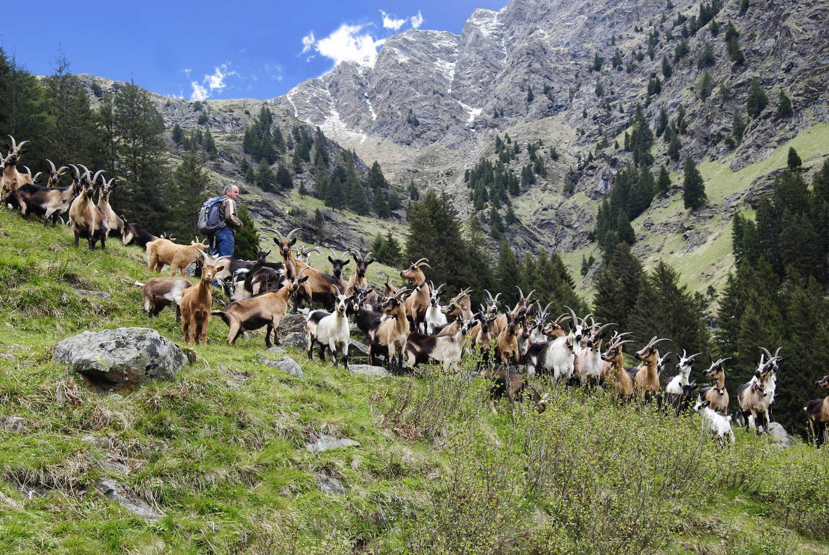 Wandern zur Obisell-Alm