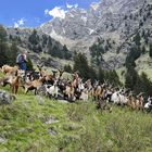 Wandern zur Obisell-Alm