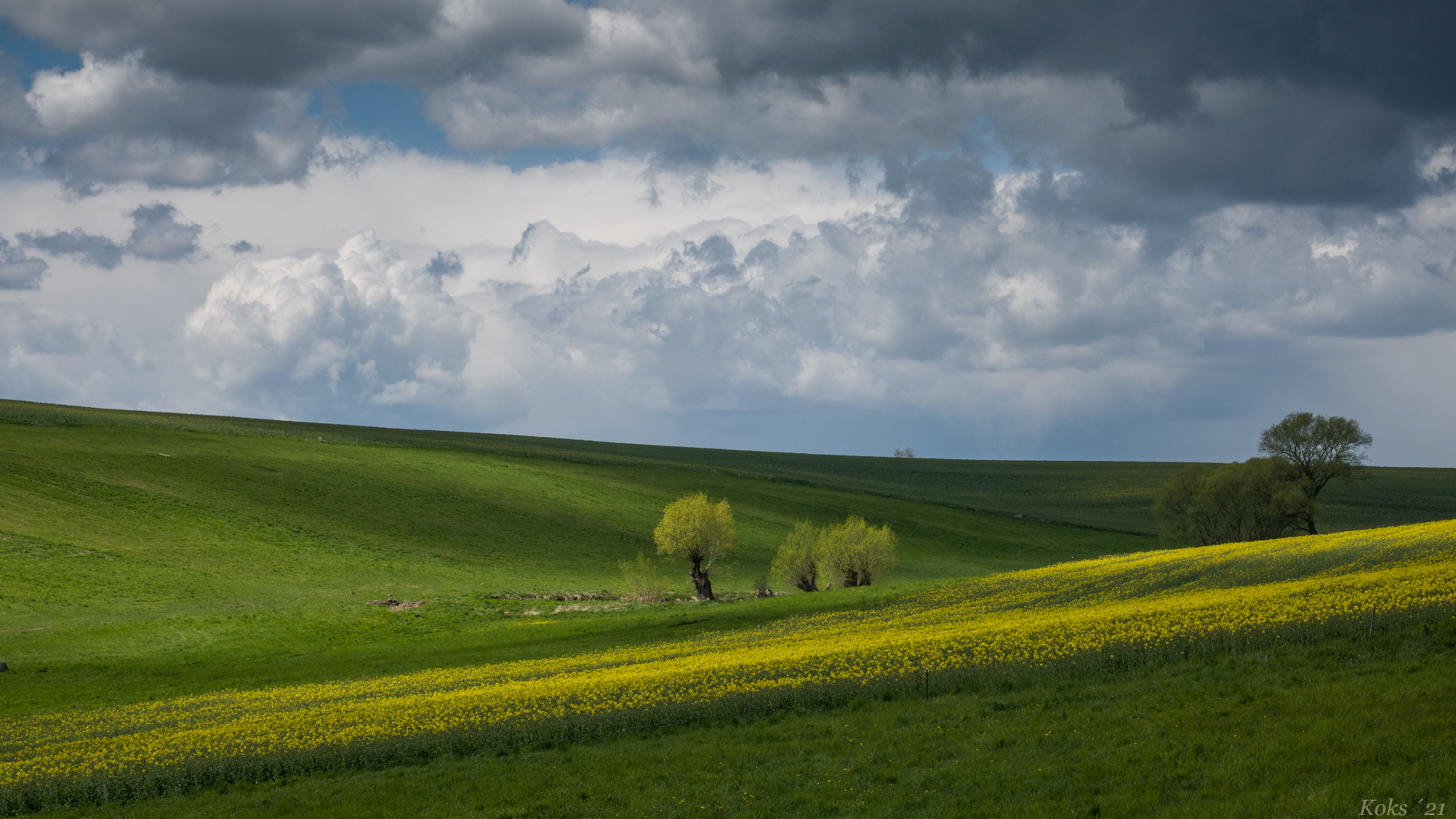 Wandernde Schatten