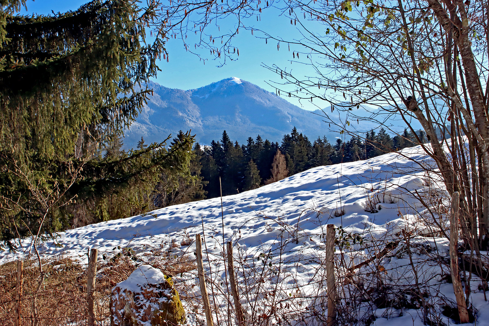 Wanderpause für diesen Durchblick