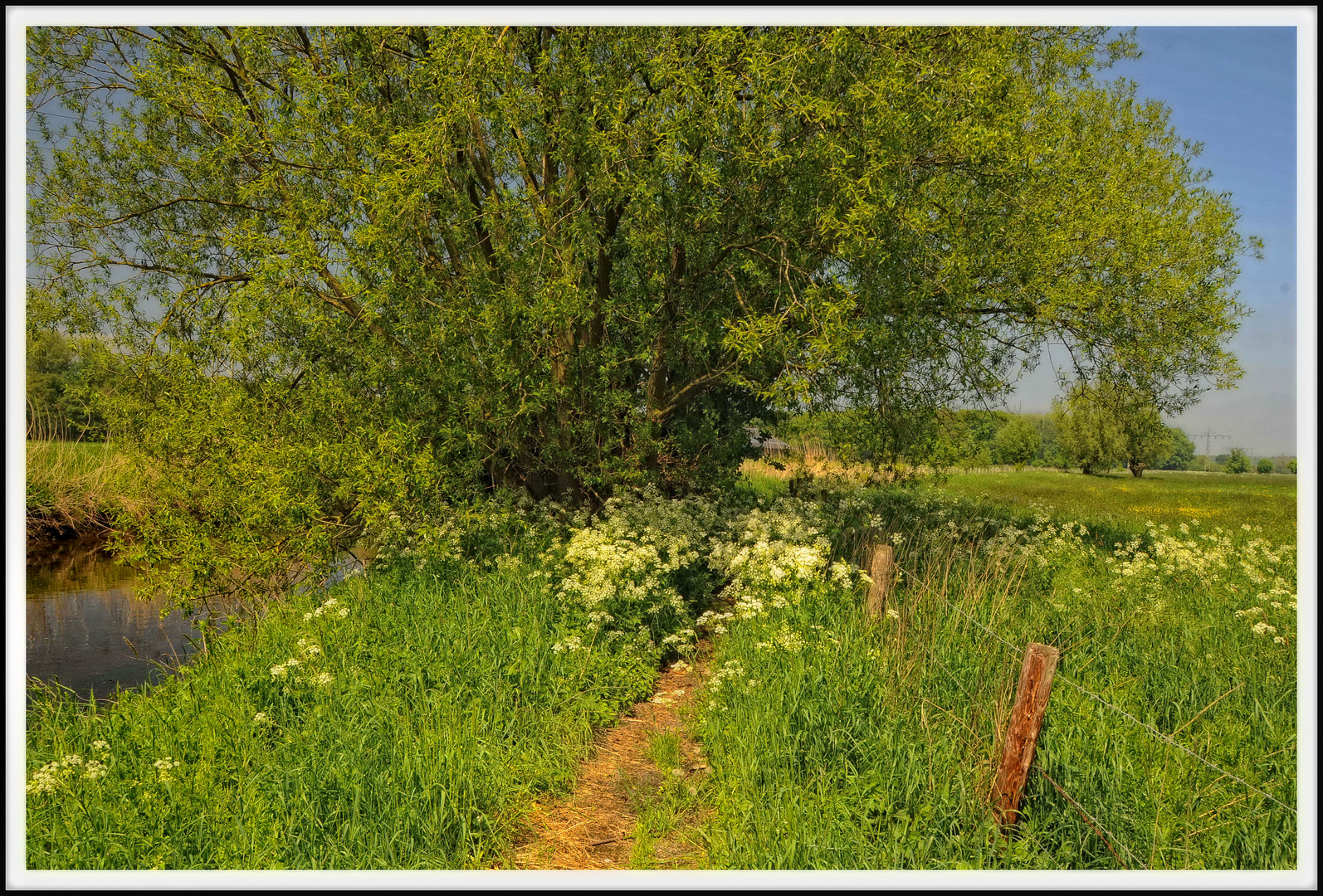 Wanderpfad am Fluss