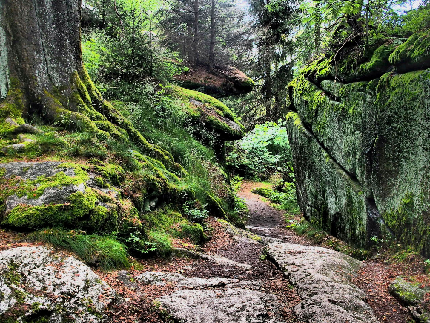 Wanderpfad am Waldstein