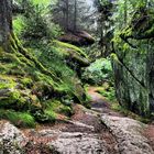 Wanderpfad am Waldstein