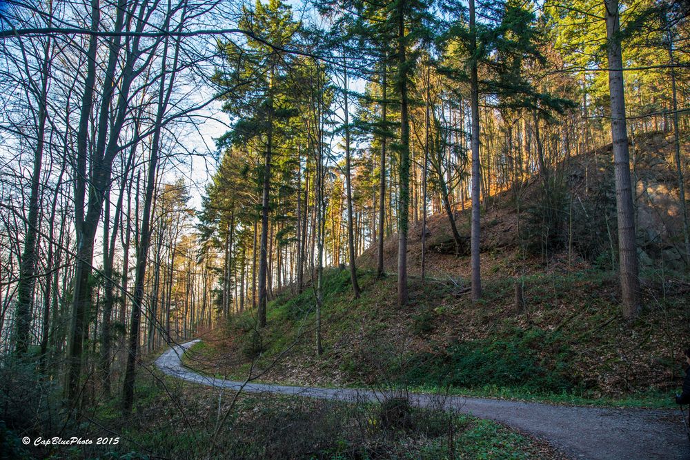 Wanderpfad Jägerweg Kappelwindeck