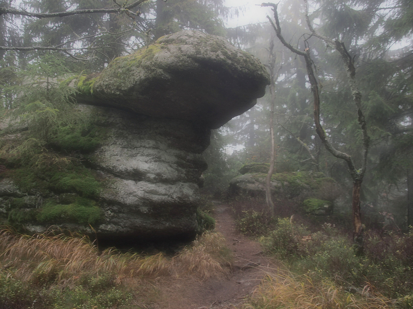 Wanderpfad zum Nußhardt