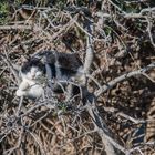 Wanderreise nach Mallorca - 2 Wochen dem Winter und dem trüben Wetter entfliehen