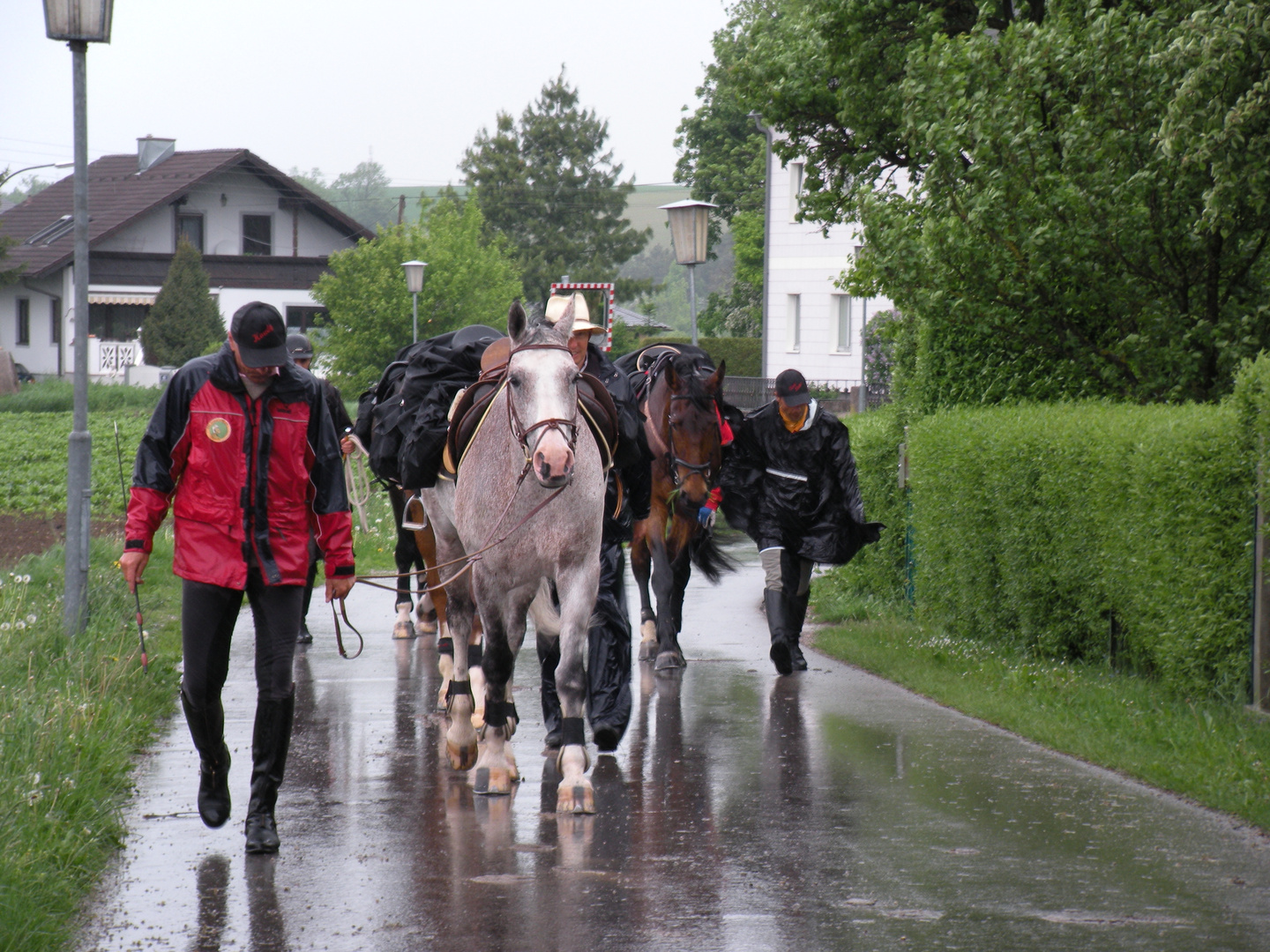 wanderreiter bei regen