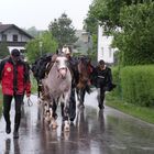 wanderreiter bei regen