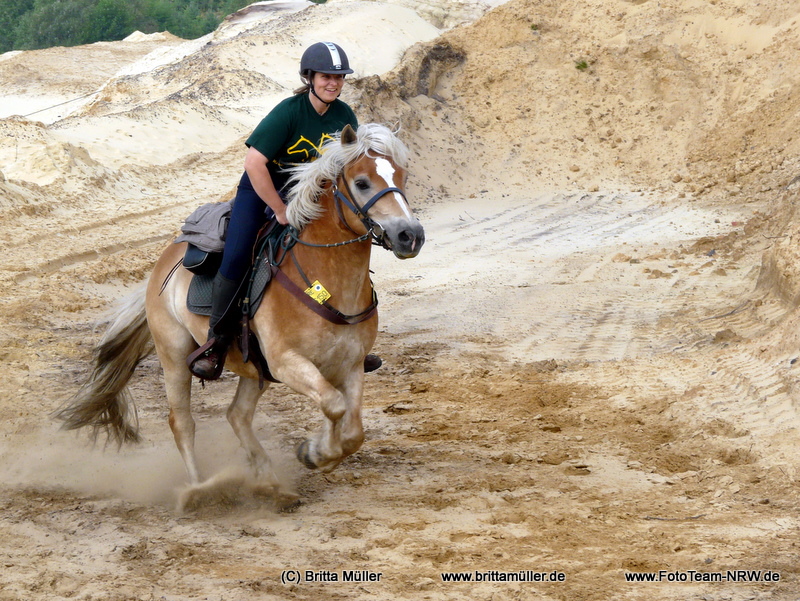 Wanderreitführerin Gabriele Eichenberger und ihr Haflinger Arthus