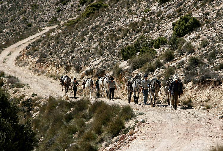 Wanderritt in Andalusien