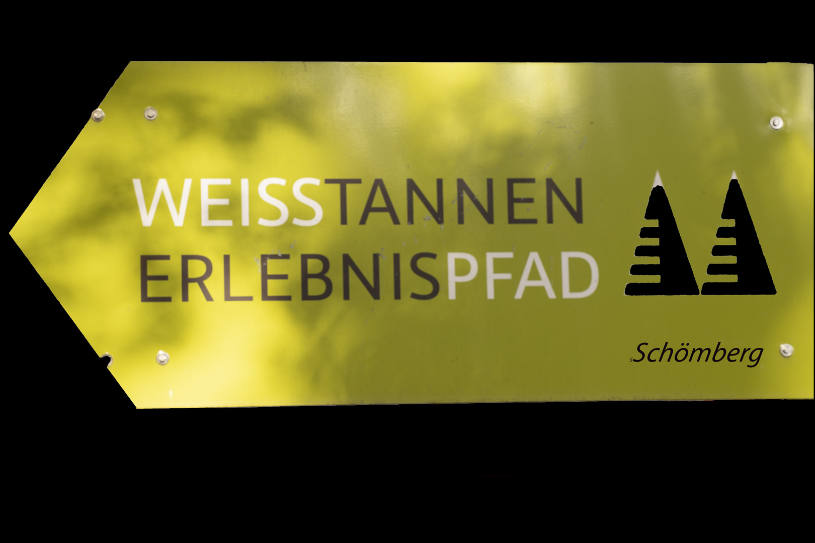 Wanderschild digiart