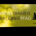 Wanderschild digiart