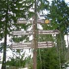 Wanderschild in Altenau