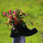 Wanderschuhe mit Blumen