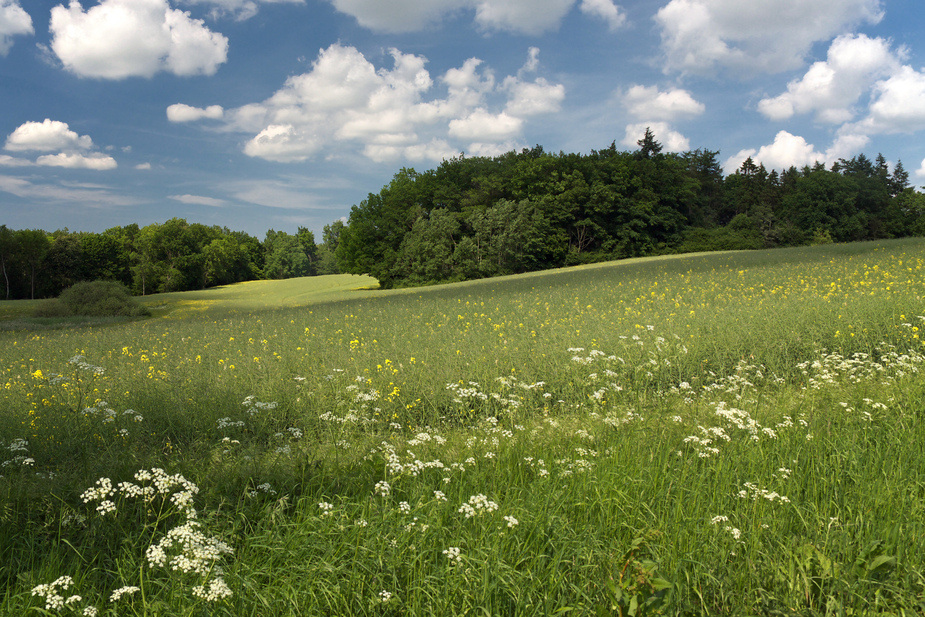 Wandertag