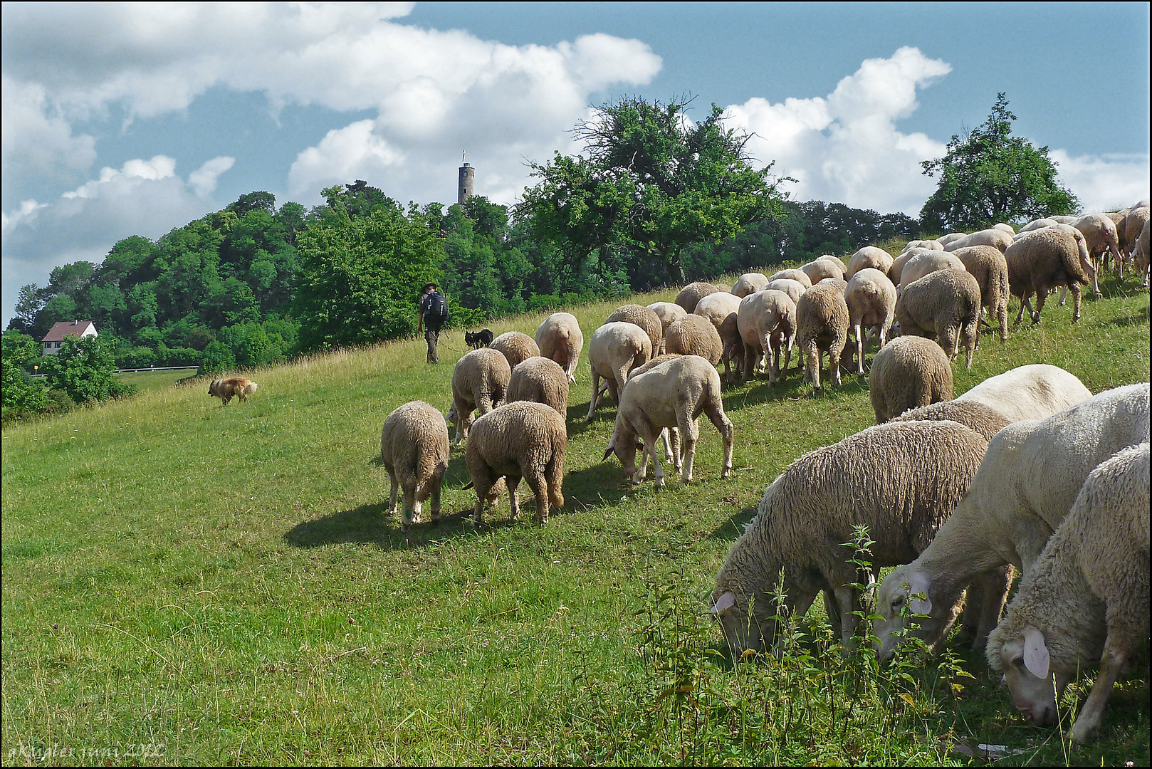 Wandertag