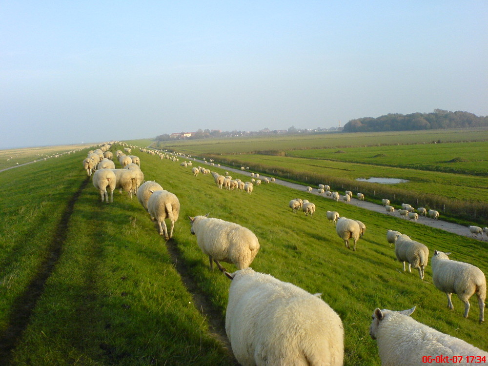 Wandertag auf dem Deich