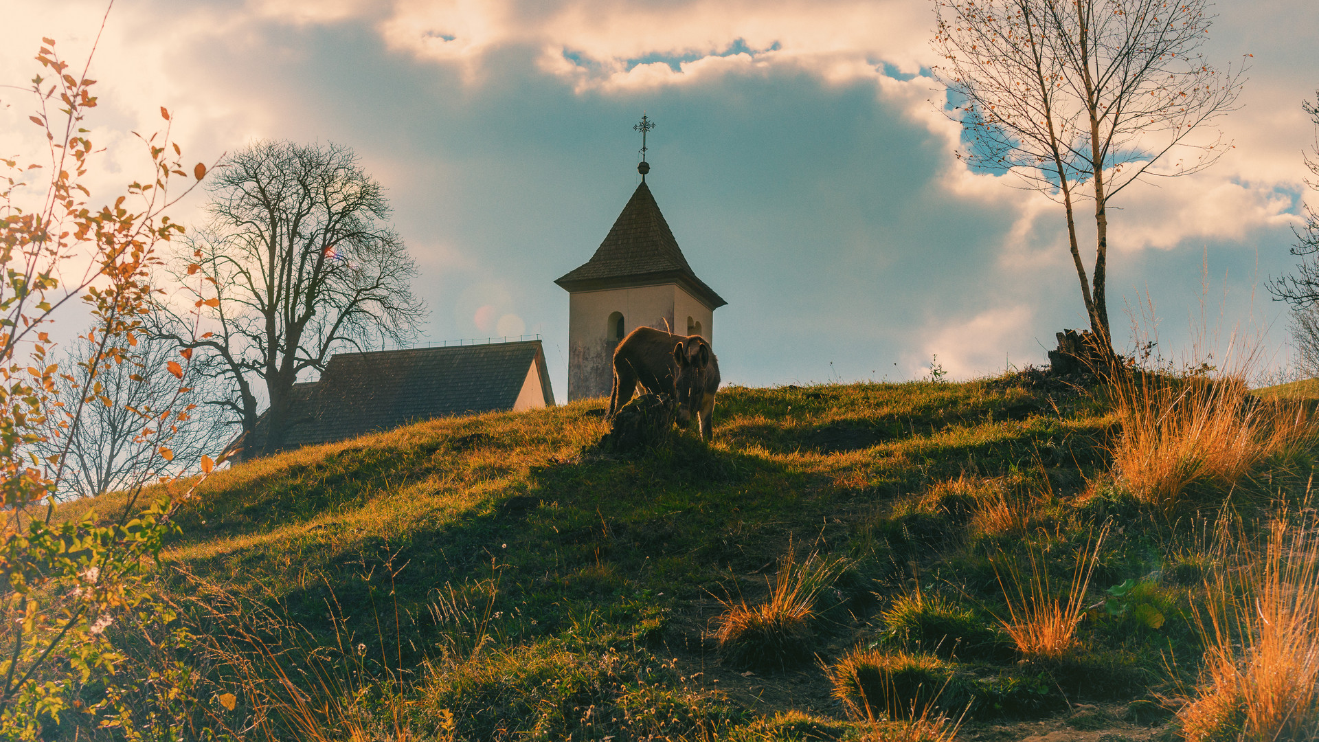 Wandertag