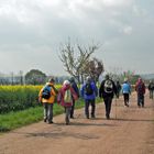 Wandertag