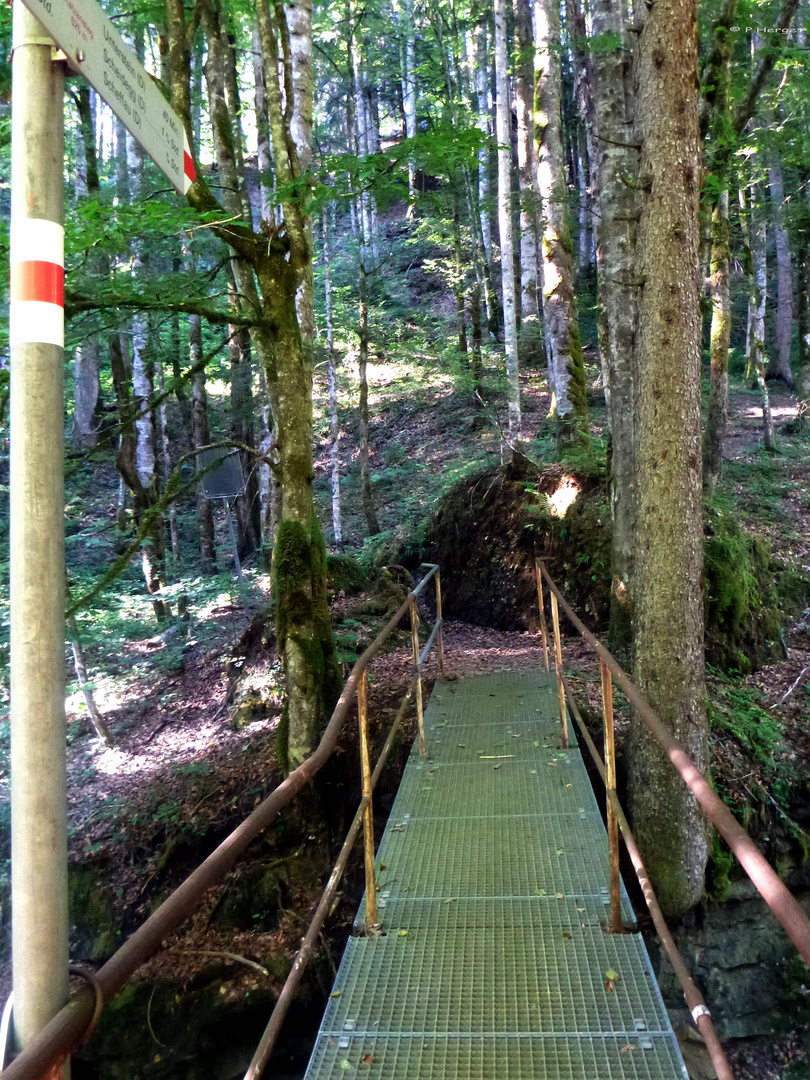 Wandertag - Grenzgänger Allgäu / Vorarlberg