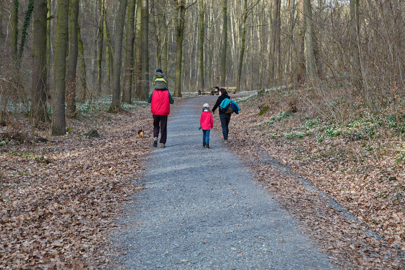 Wandertag im Märzenbechertal in Landgrafroda