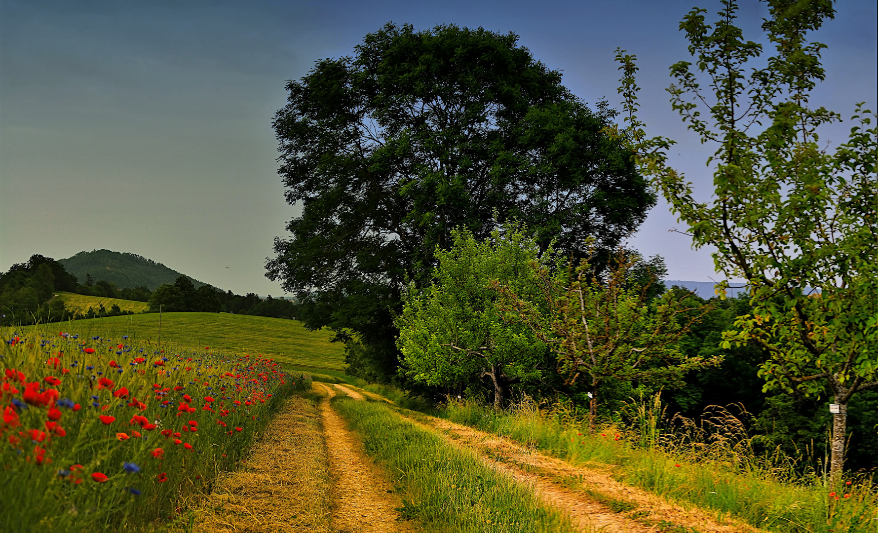 Wandertag im Schwabenländle