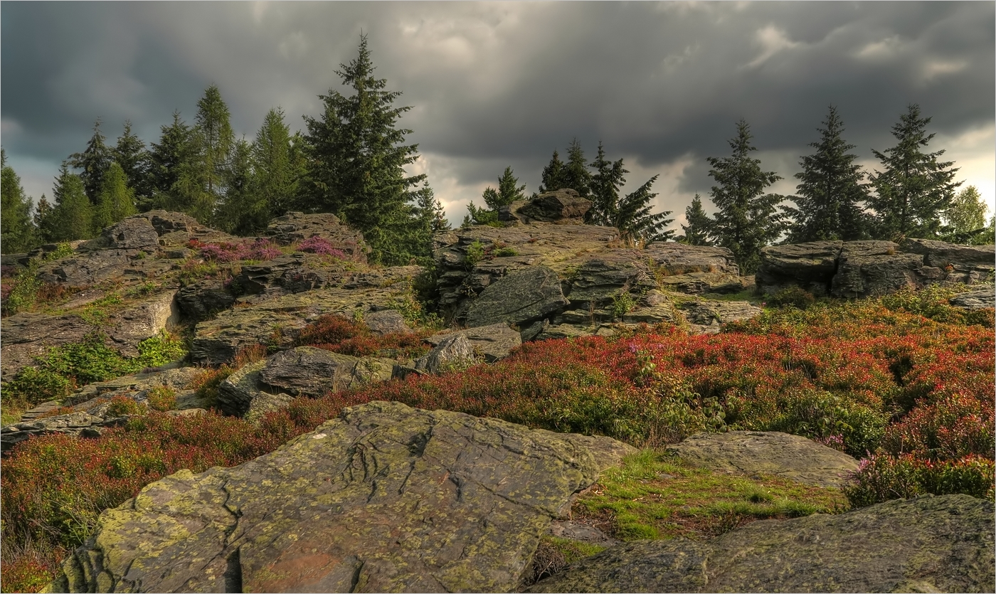 Wandertage-Hoher Stein