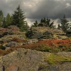 Wandertage-Hoher Stein