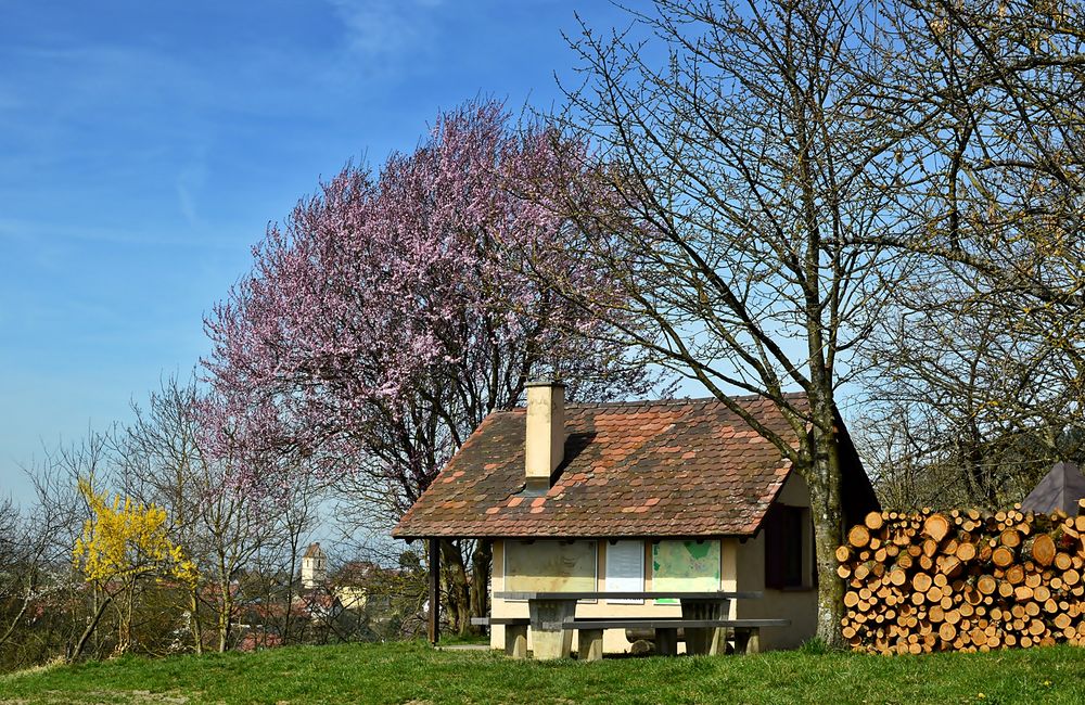 Wandertipp: zum Hüppberg - Hüüsli