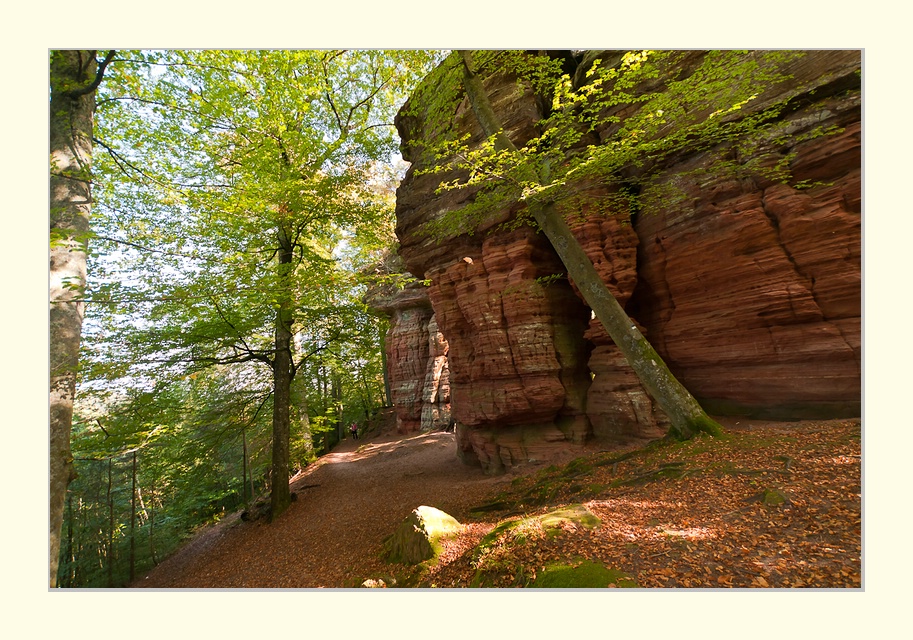 Wandertour am Altschlossfelsen