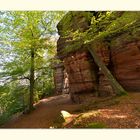 Wandertour am Altschlossfelsen