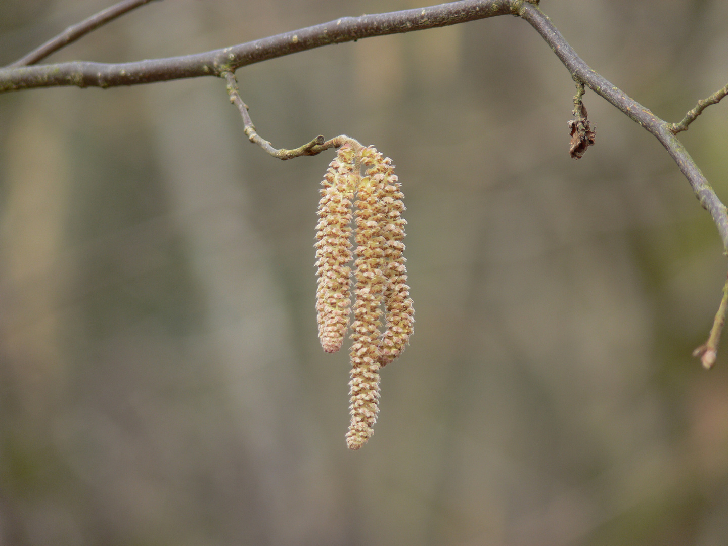 Wanderung 2011