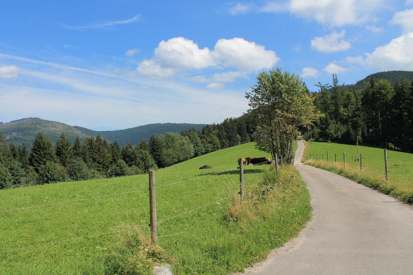 Wanderung