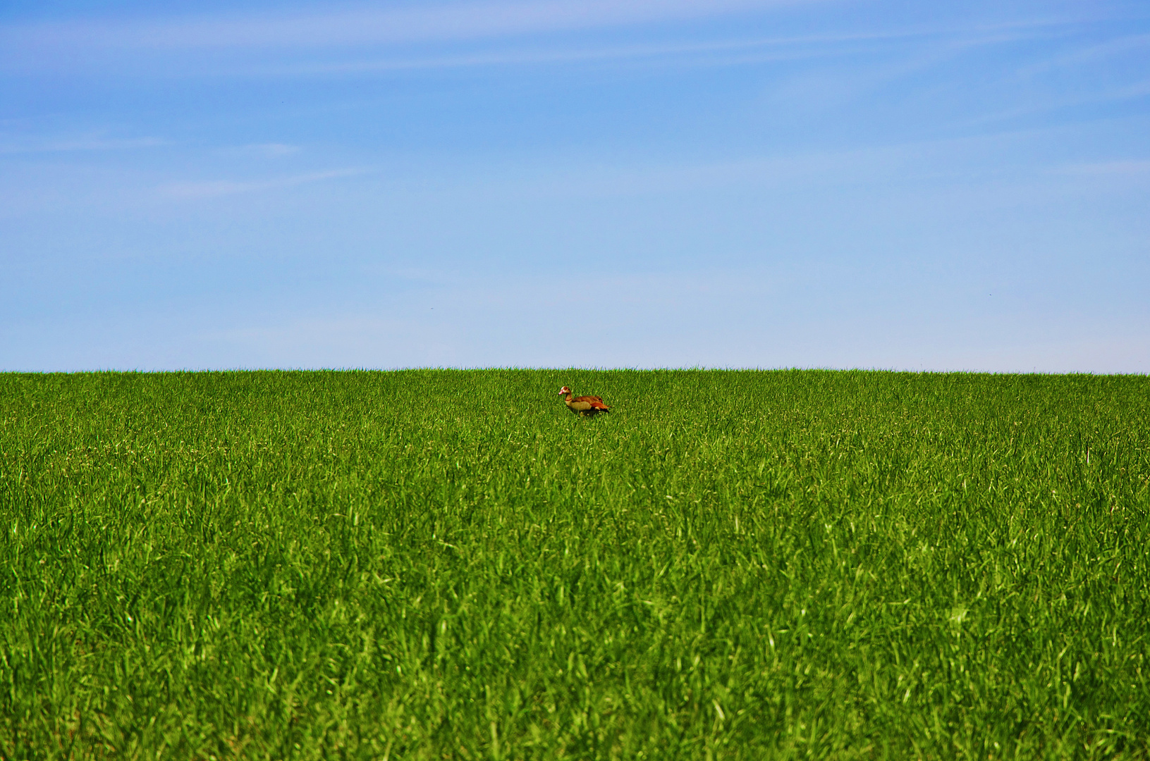 Wanderung