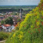 Wanderung am