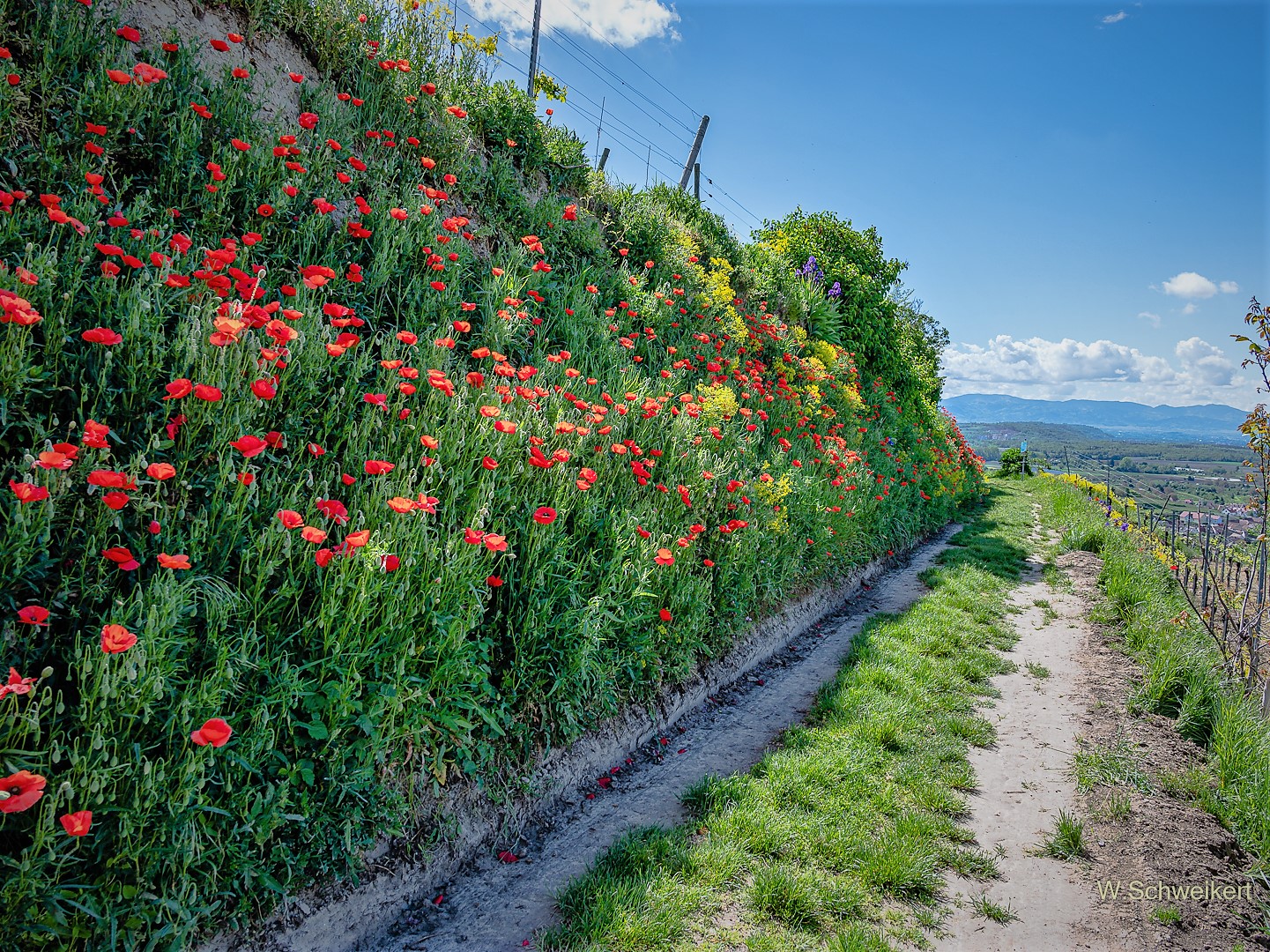 Wanderung am