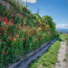 Wanderung am