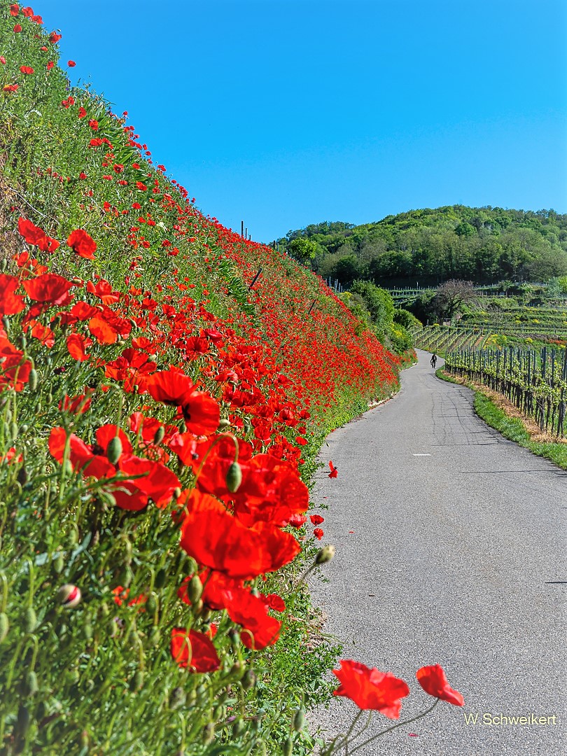 Wanderung am 