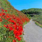 Wanderung am 