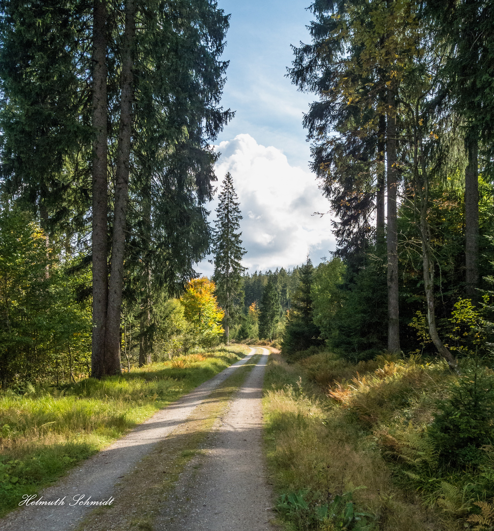 Wanderung am Arber -59