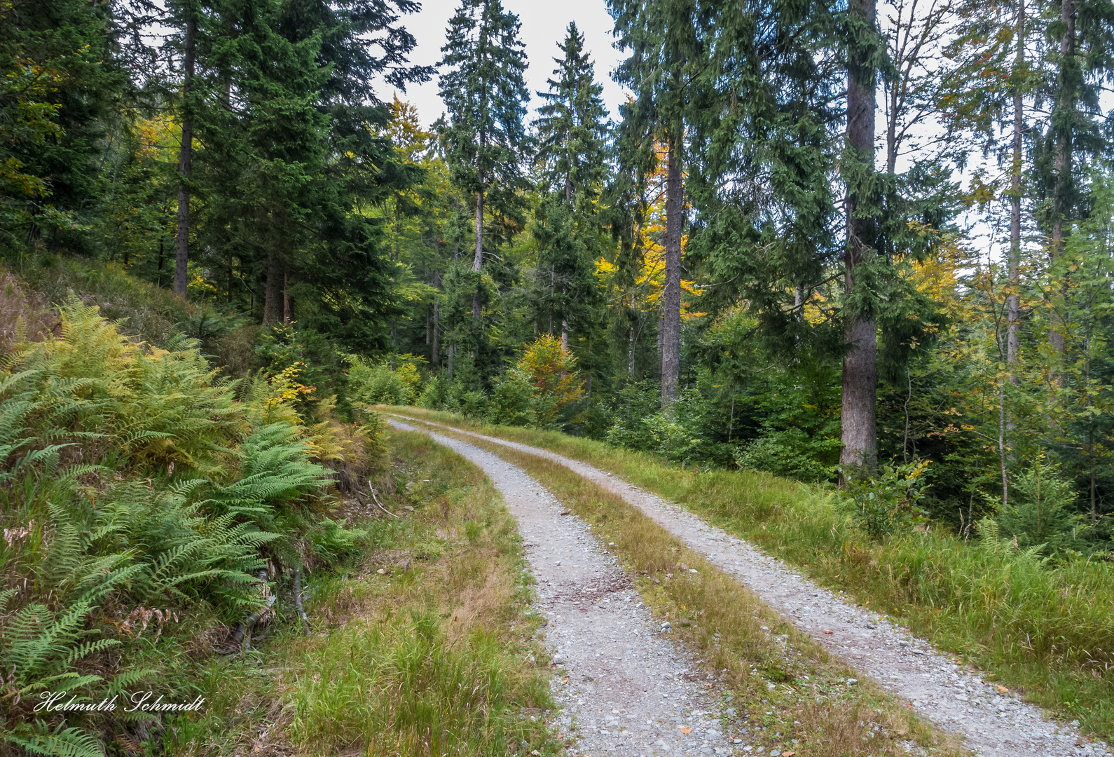 Wanderung am Arber -83