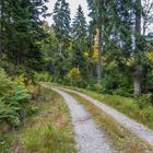 Wanderung am Arber -83