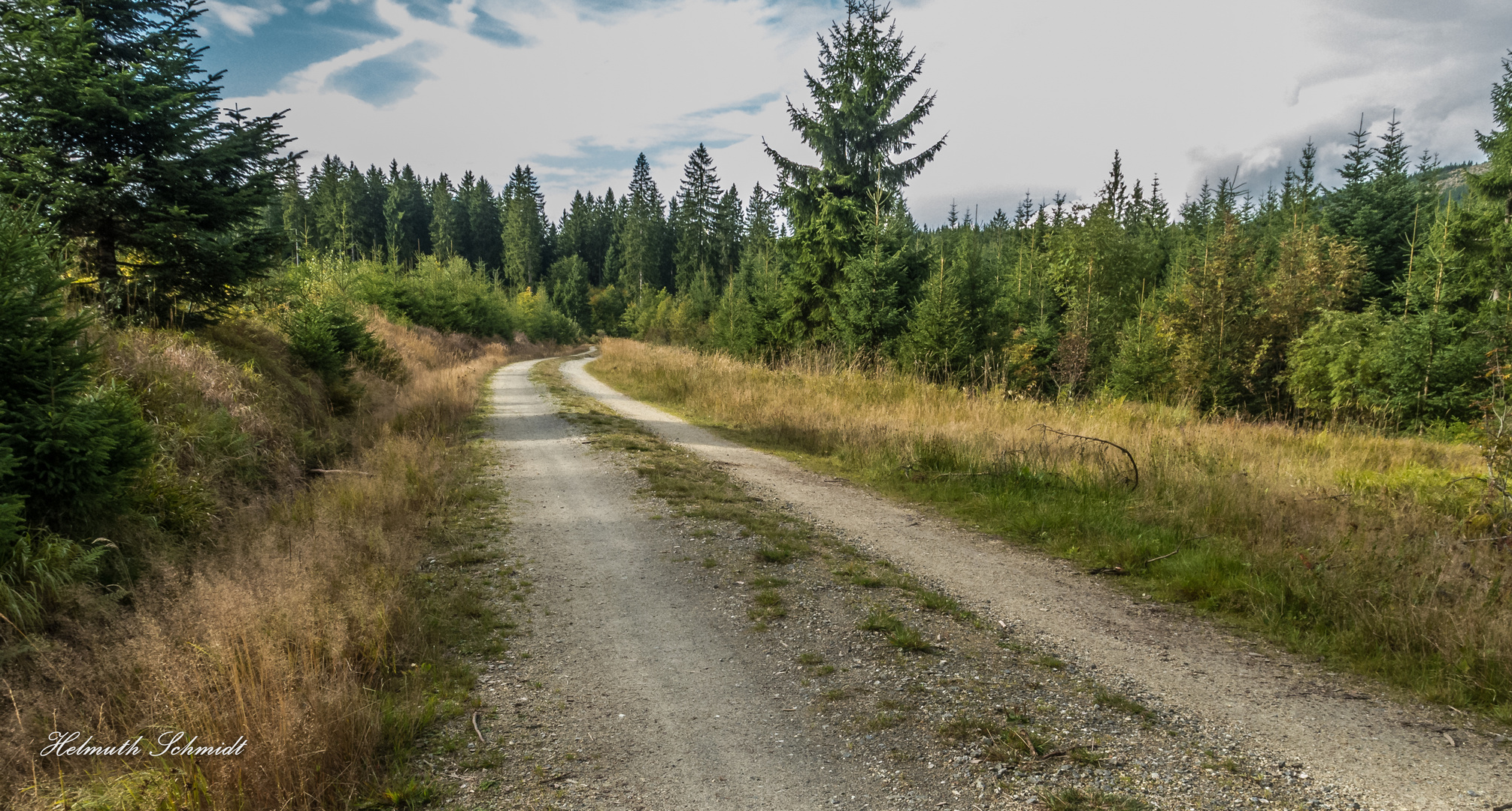 Wanderung am Arber -92-2